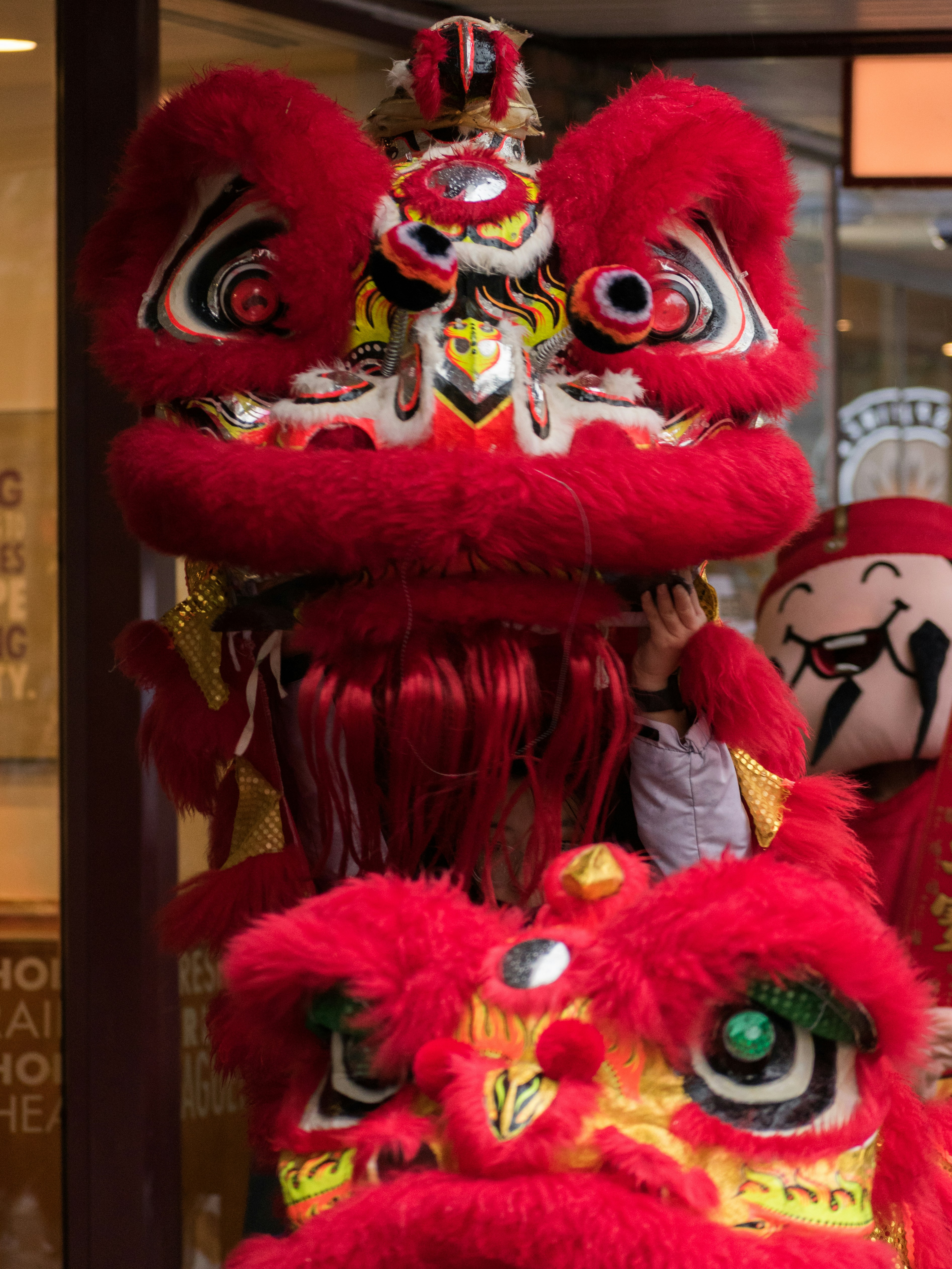 Sunlit Lion Dance Performance