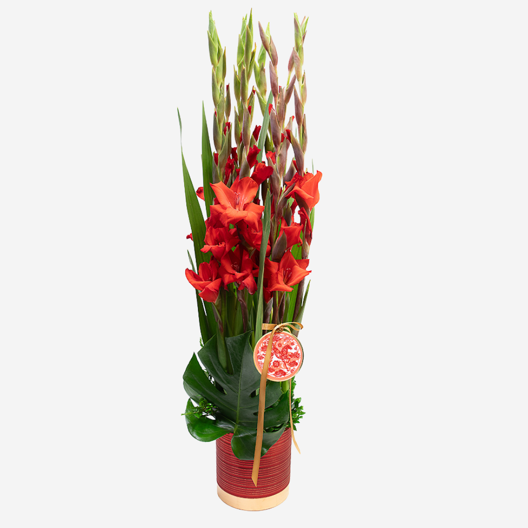 Indooroopilly Florist