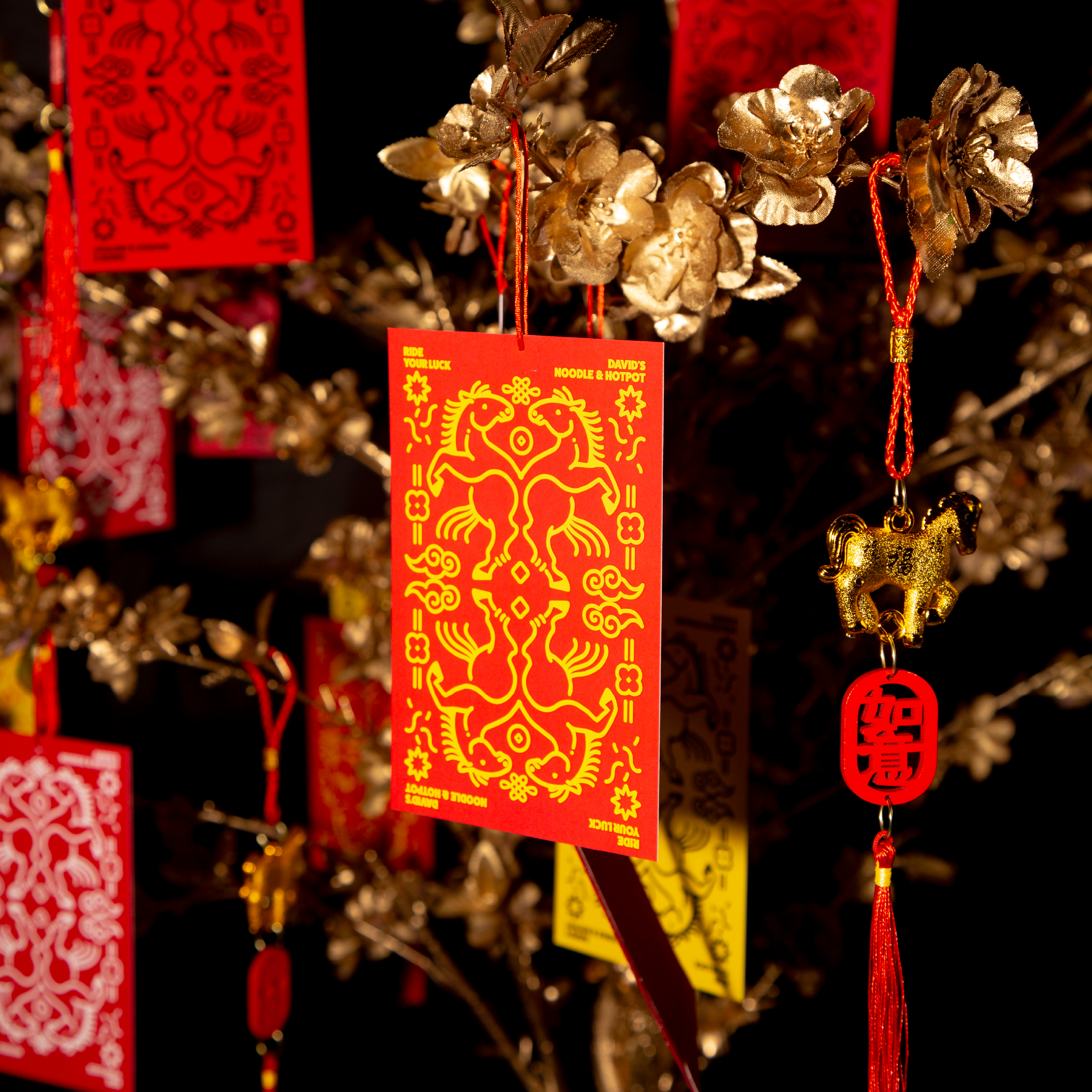 David's Noodle Lunar New Year Offer